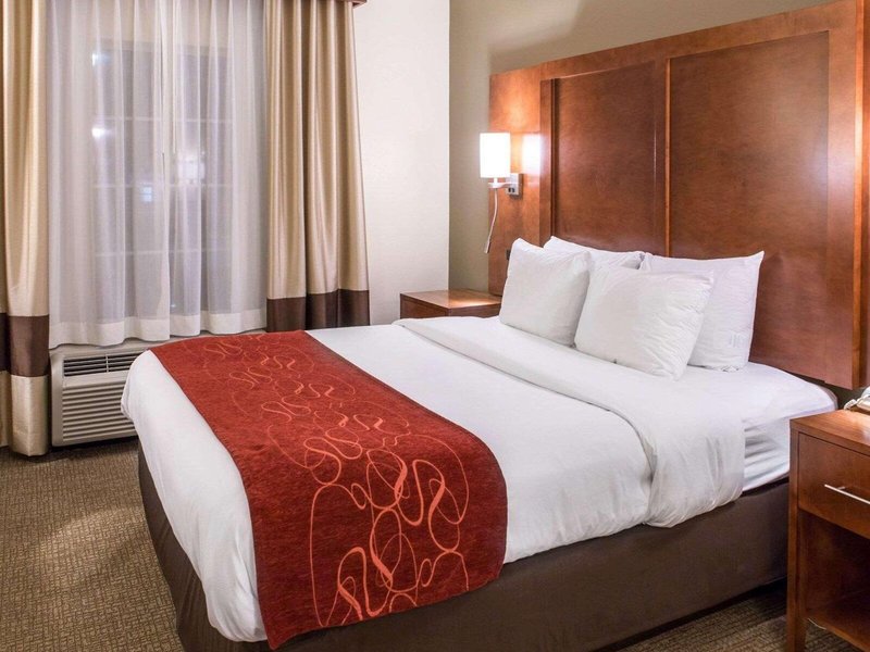 Comfort Suites Newark - Harrison 29