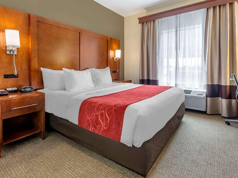Comfort Suites Newark - Harrison 30