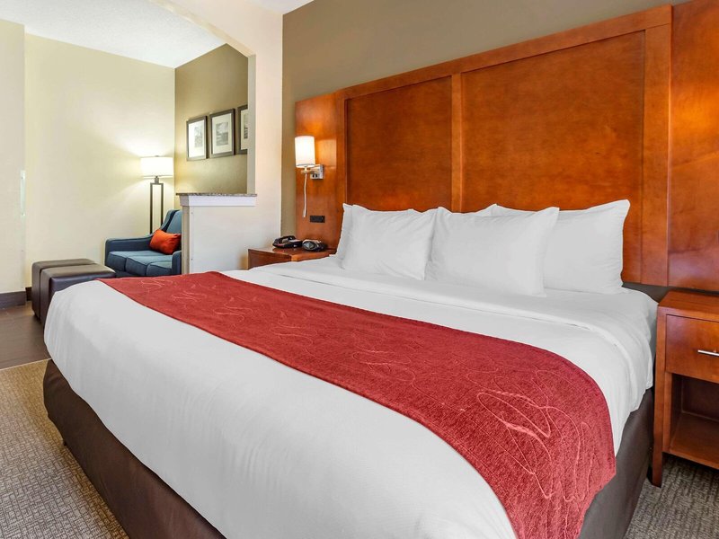 Comfort Suites Newark - Harrison 31