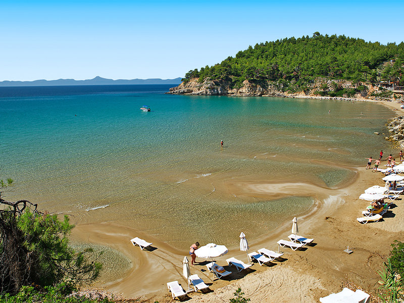 Alonissos Beach Bungalows & Suites Hotel 2