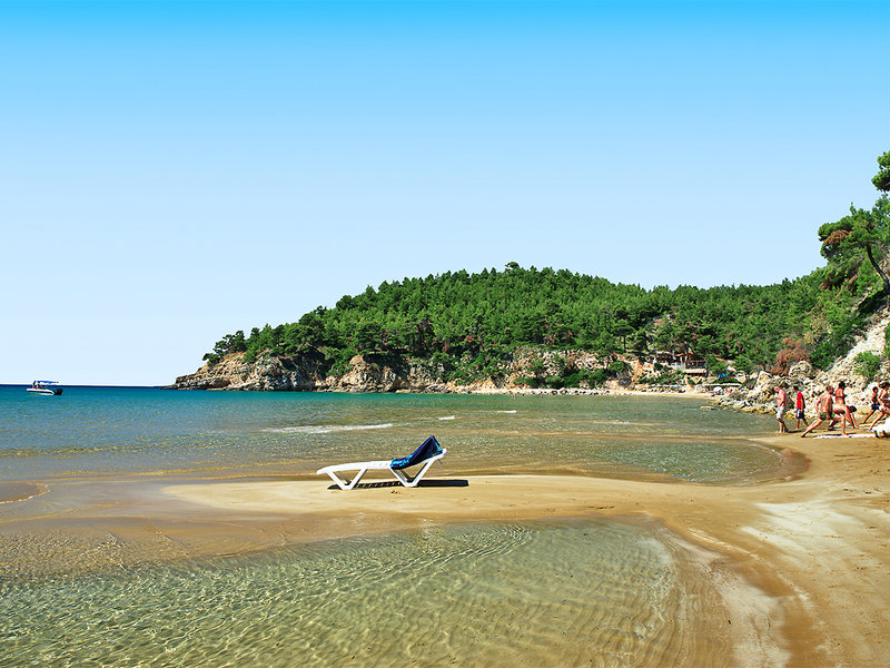 Alonissos Beach Bungalows & Suites Hotel 10