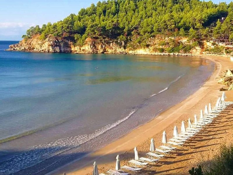 Alonissos Beach Bungalows & Suites Hotel 13
