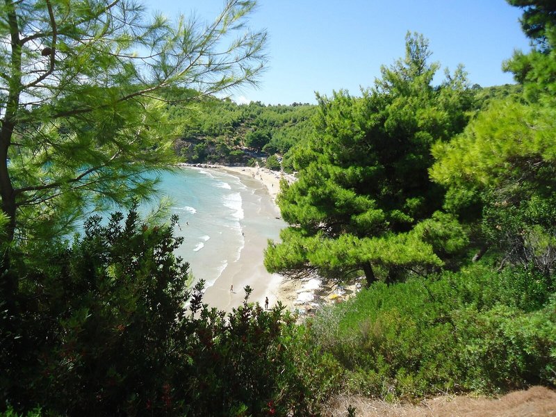 Alonissos Beach Bungalows & Suites Hotel 14