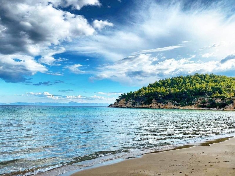 Alonissos Beach Bungalows & Suites Hotel 15