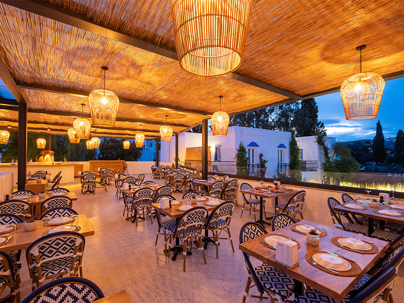 Paloma Bitez Family Club 8