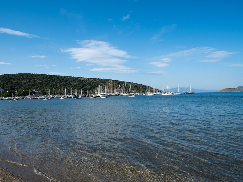 Paloma Bitez Family Club 3