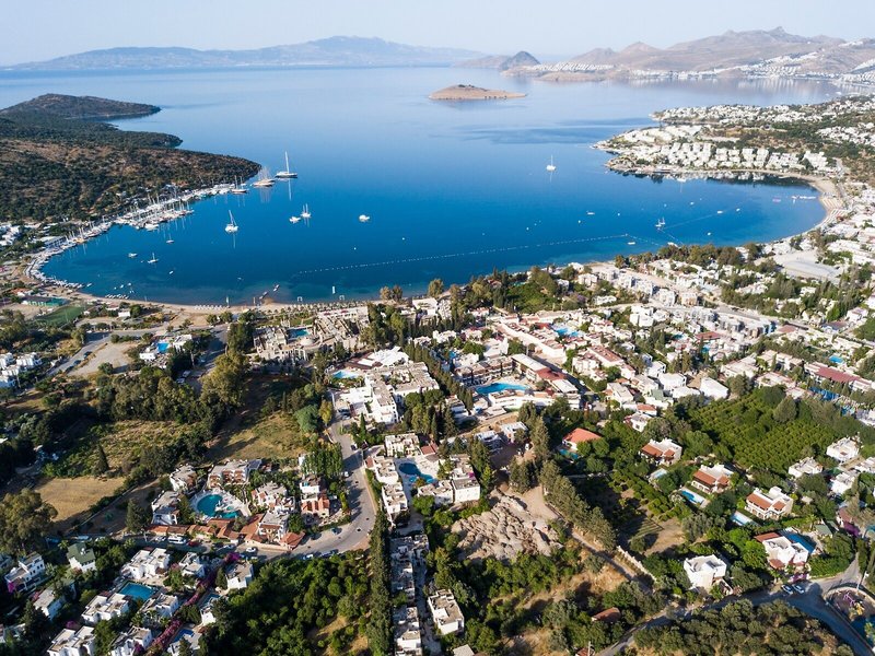 Paloma Bitez Family Club 4