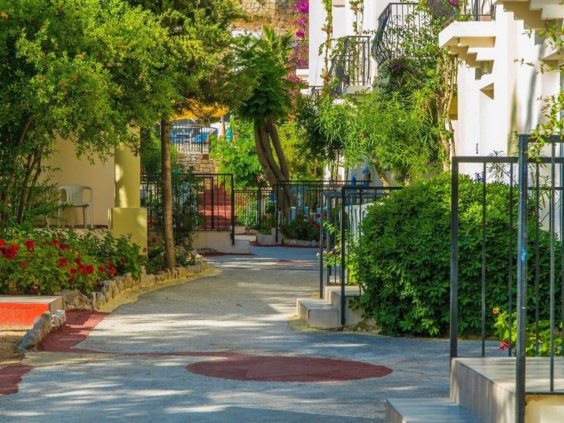 Paloma Bitez Family Club 6