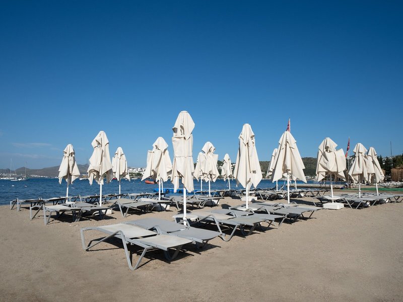 Paloma Bitez Family Club 7