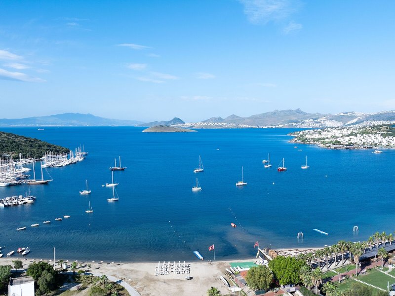 Paloma Bitez Family Club 9