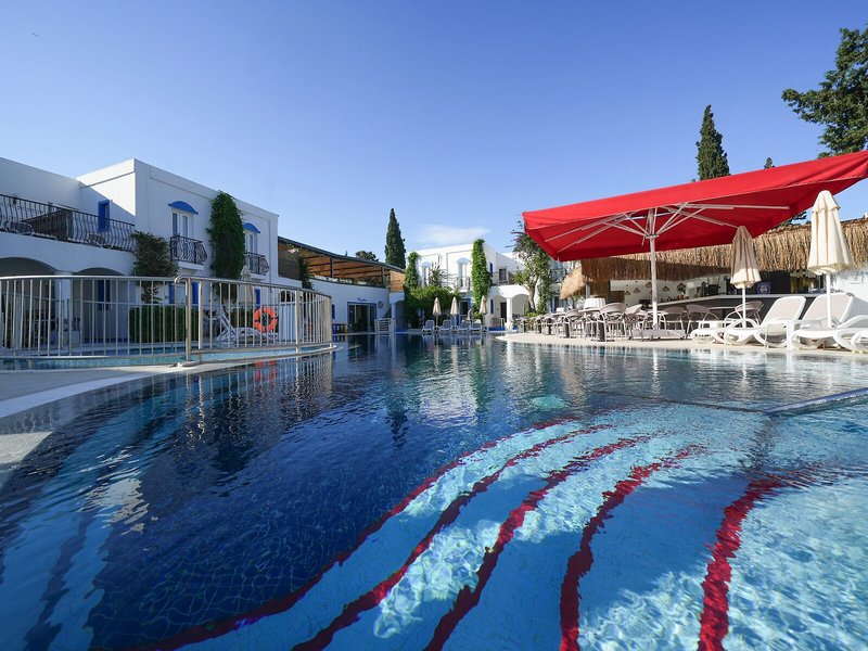 Paloma Bitez Family Club 11