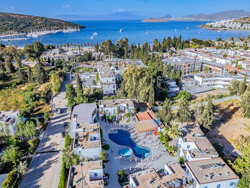 Paloma Bitez Family Club 16