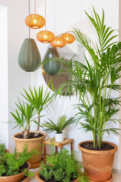 Sol Cala d'Or Apartamentos 14