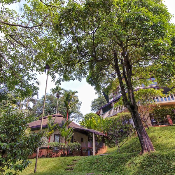 Mangosteen Ayurveda & Wellness Resort 21
