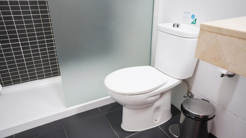 Coral Los Alisios 102