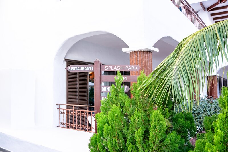 Coral Los Alisios 32