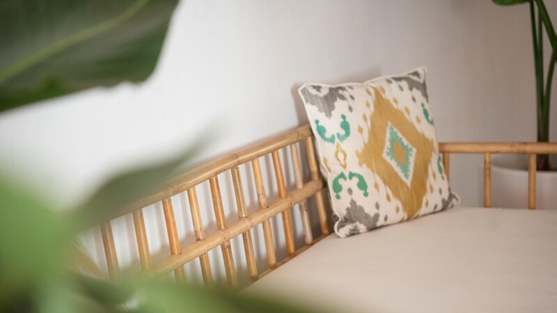 Coral Los Alisios 36