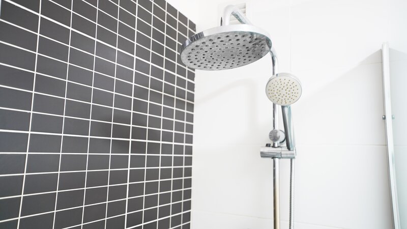 Coral Los Alisios 43