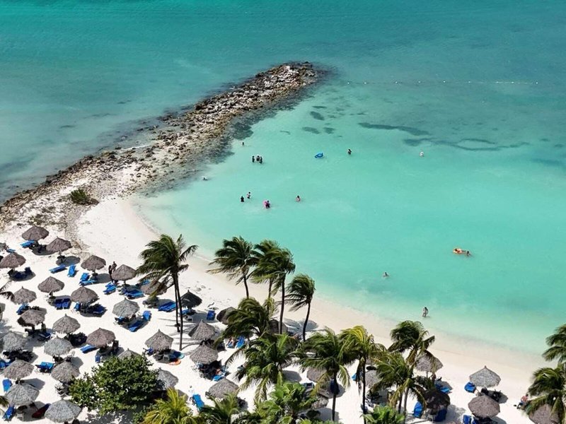 Divi Aruba Phoenix Beach Resort 5