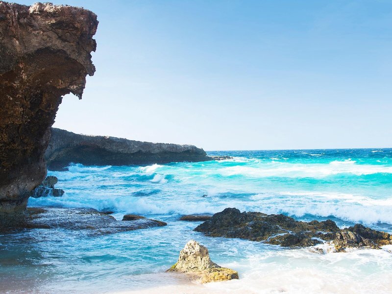 Divi Aruba Phoenix Beach Resort 9