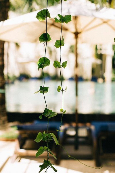 Anantara Hoi An Resort 15