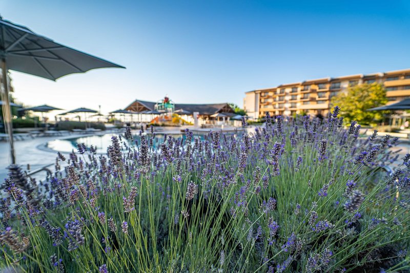 HVD Clubhotel Miramar 23
