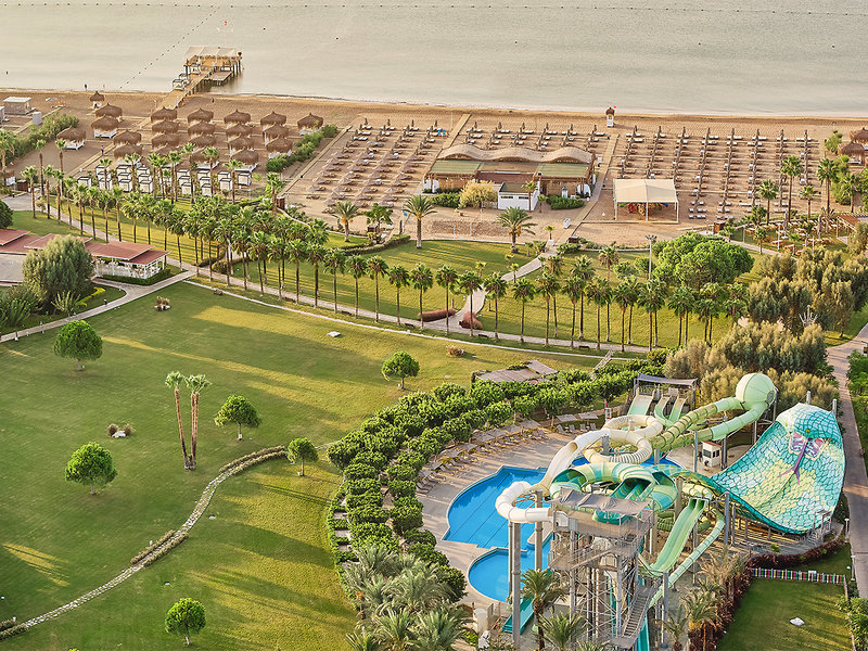 Barut Lara 19