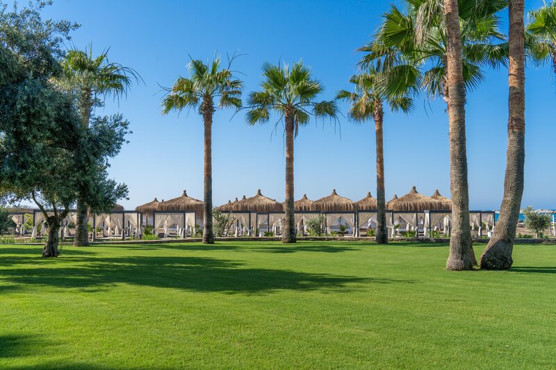 Barut Lara 48