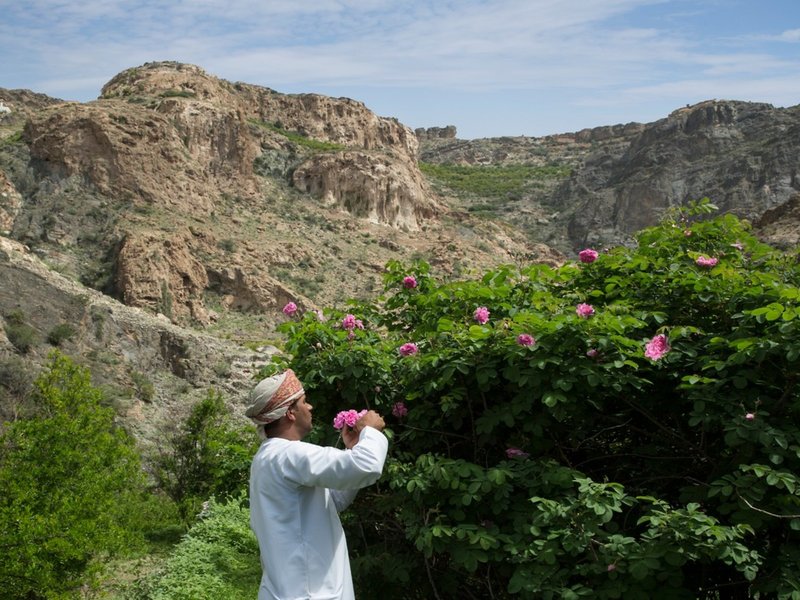 Anantara Al Jabal Al Akhdar Resort 23