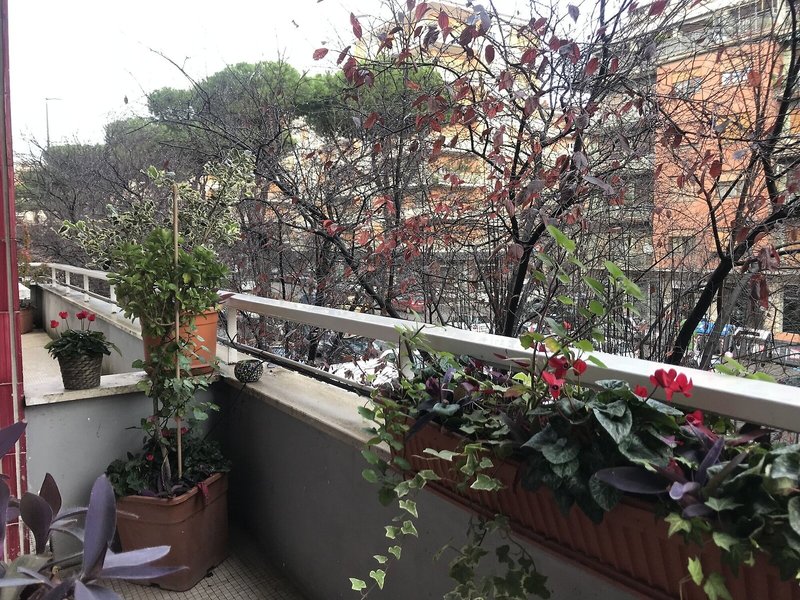 Casa Mia Vaticano 1
