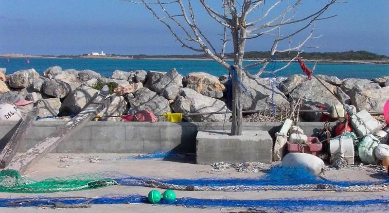 Hotel Bahia Formentera 5