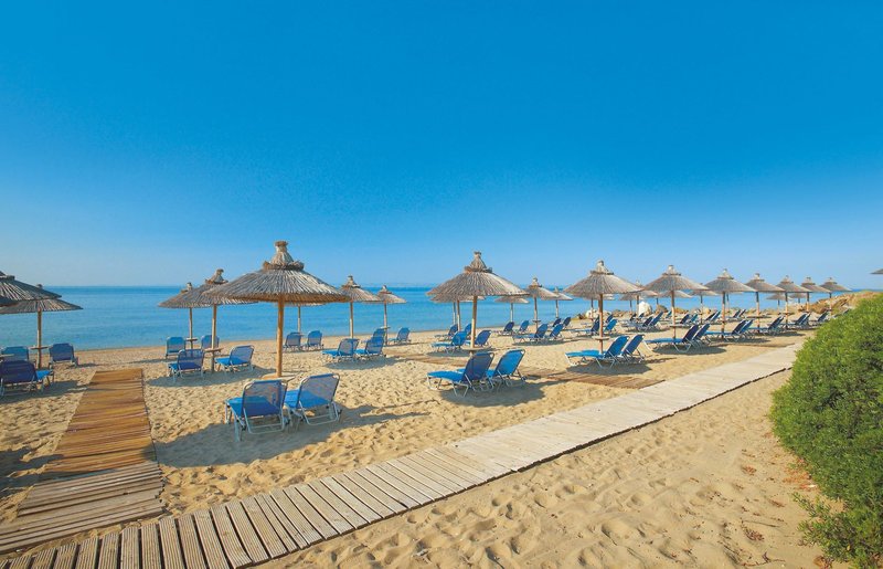 Blue Dolphin 2 - Beach