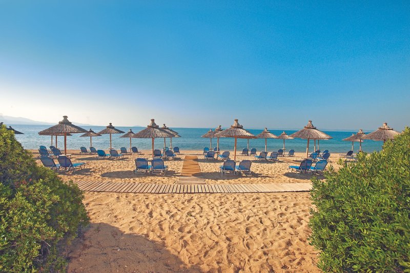 Blue Dolphin 14 - Beach