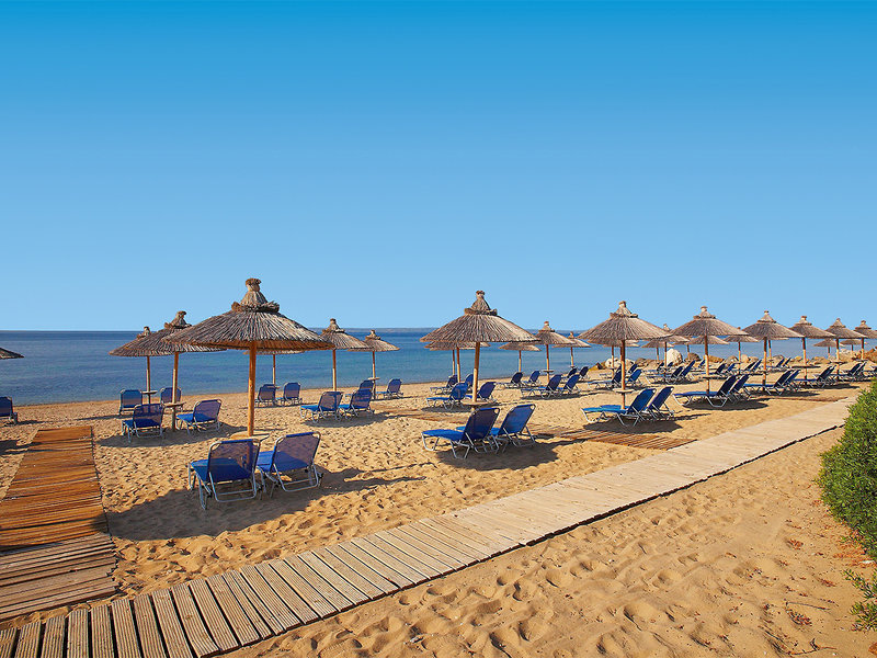 Blue Dolphin Hotel 6