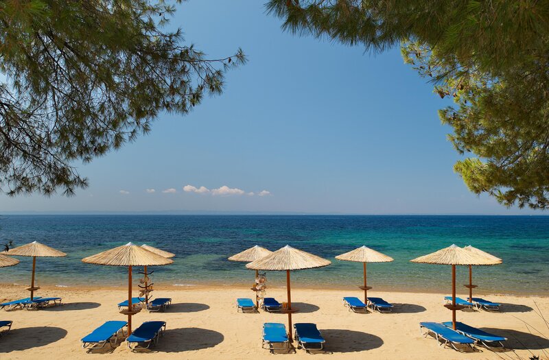 Blue Dolphin Hotel 26