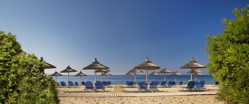 Blue Dolphin Hotel 58