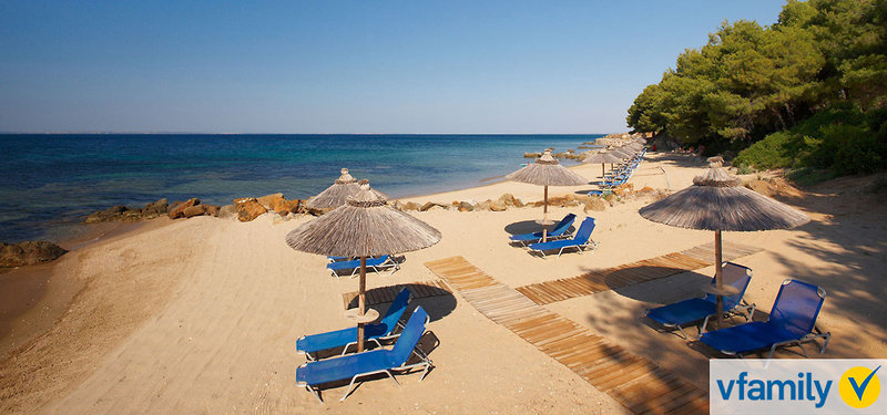 Blue Dolphin Hotel 93