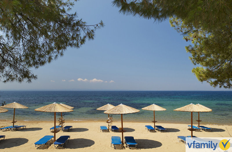 Blue Dolphin Hotel 97