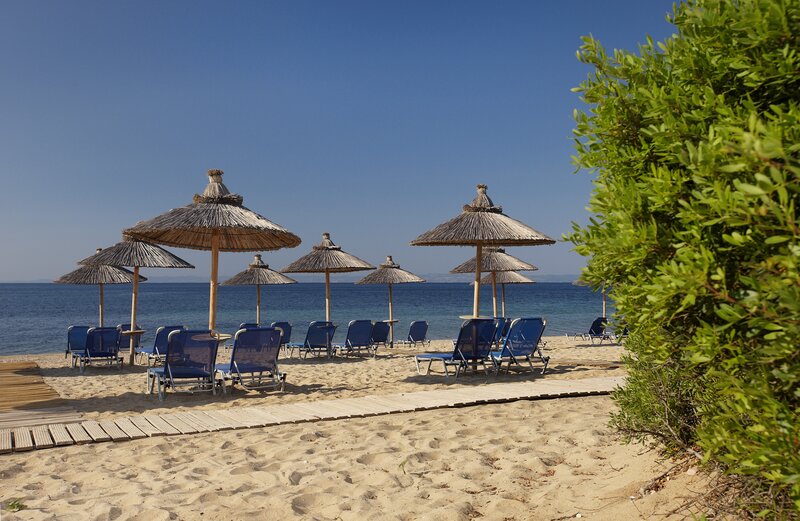 Blue Dolphin Hotel 9