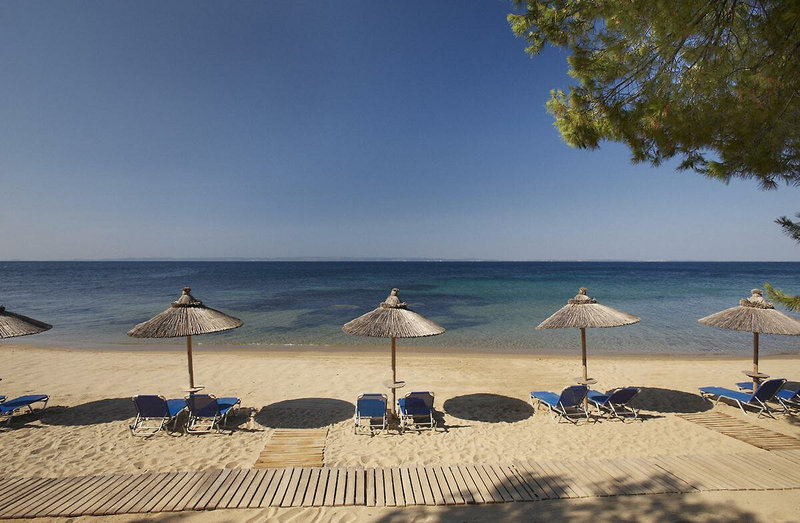 Blue Dolphin Hotel 14