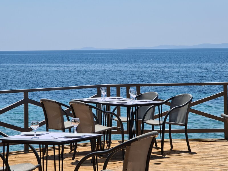 Blue Dolphin Hotel 90