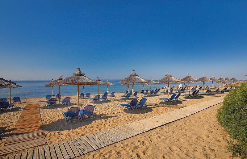 Blue Dolphin Hotel 6