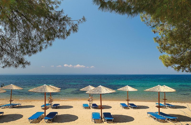 Blue Dolphin Hotel 18