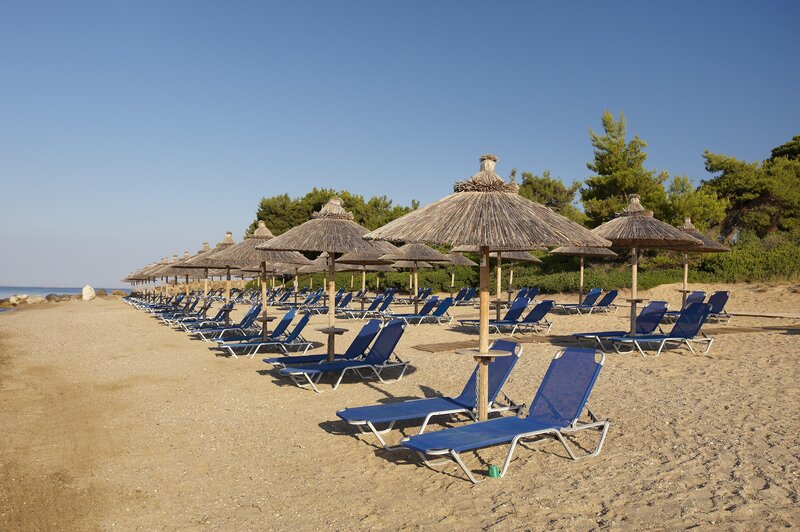 Blue Dolphin Hotel 29