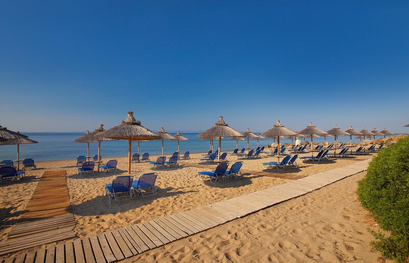 Blue Dolphin Hotel 30