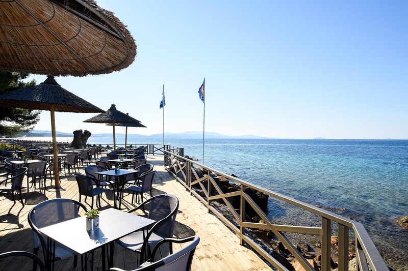 Blue Dolphin Hotel 36