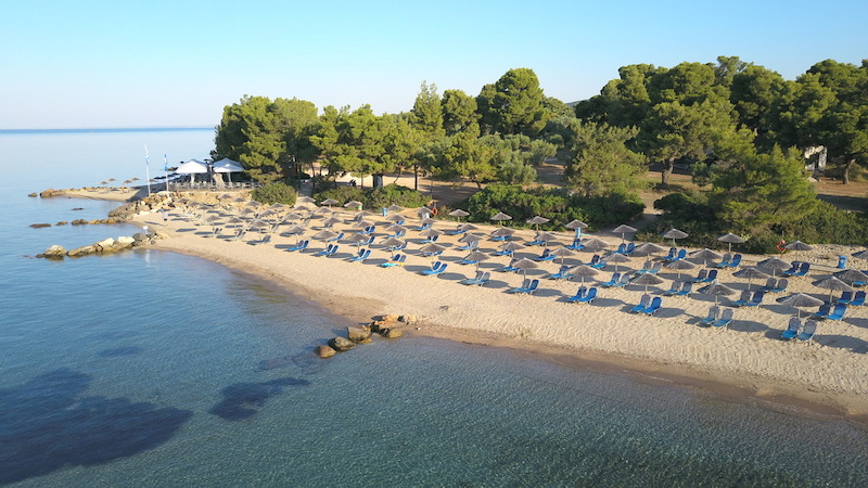 Blue Dolphin Hotel 49