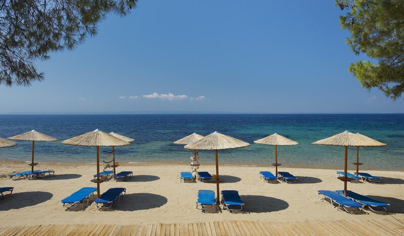 Blue Dolphin Hotel 43