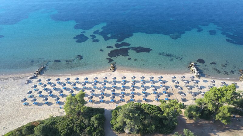 Blue Dolphin Hotel 75