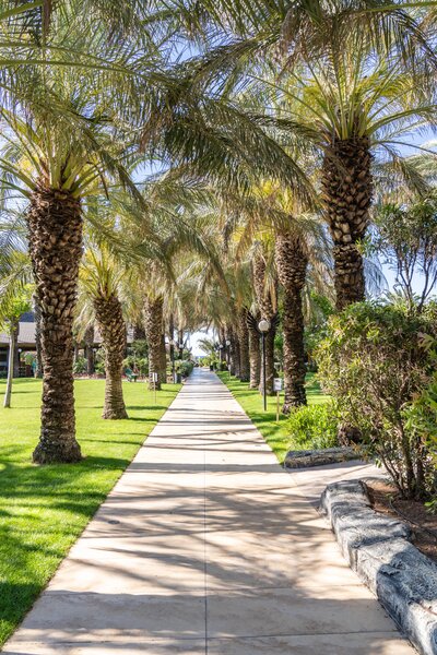 Royal Wings Hotel 76